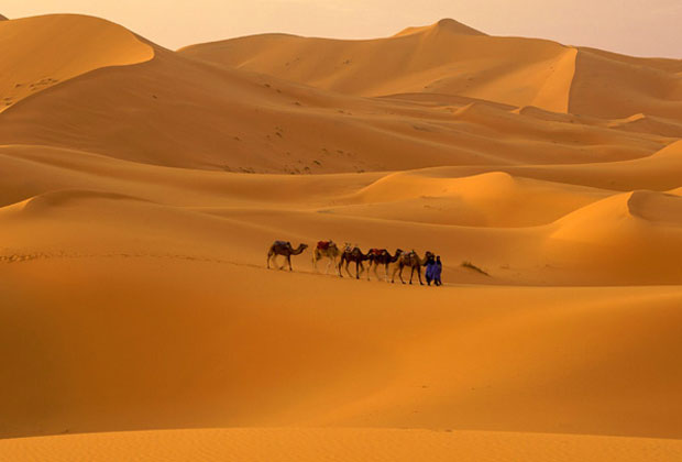 صور الصحراء الكبرى العجيبة شمال أفريقياء Sahara African Images - عالم الصور